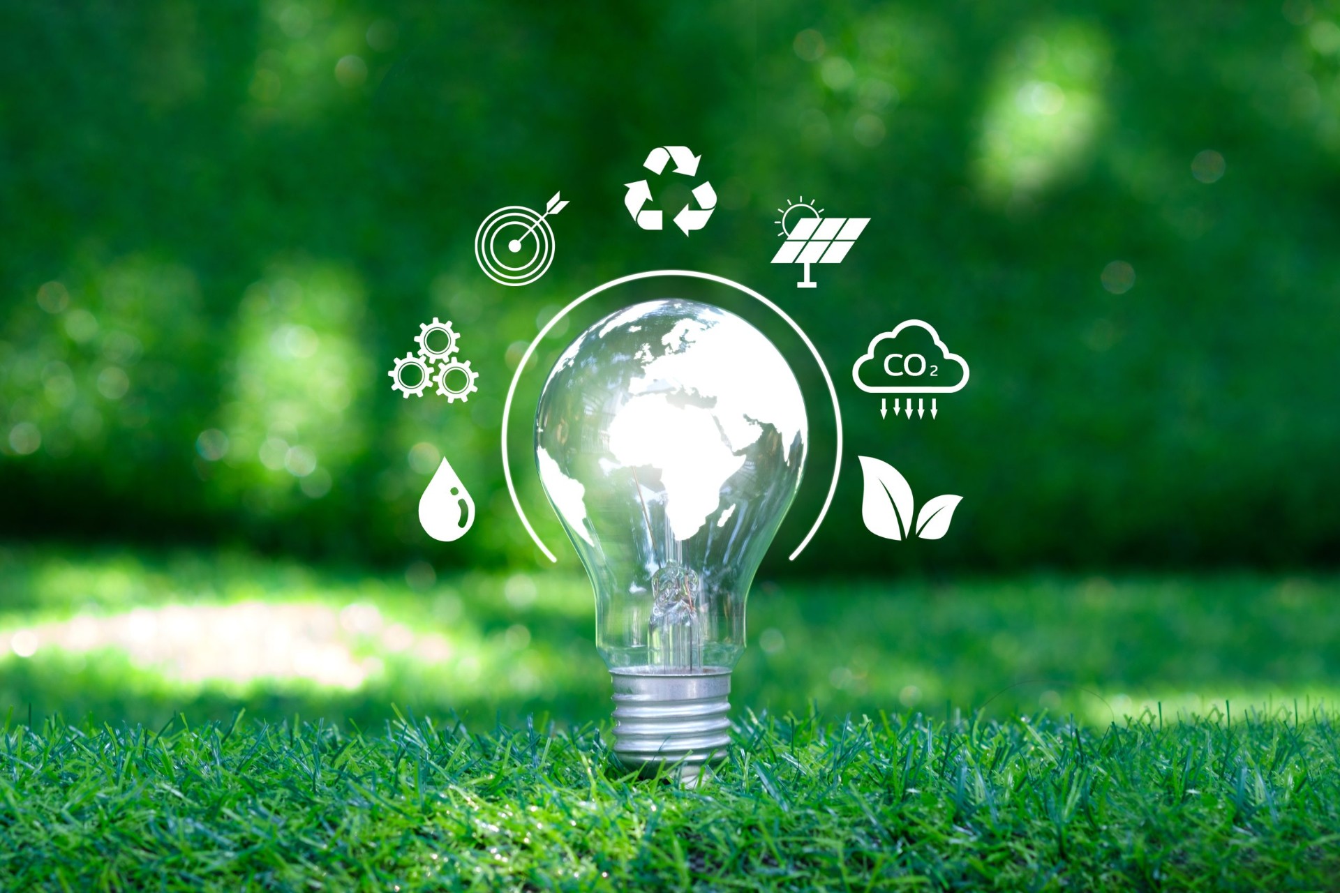 Waste-to-Energy Solutions